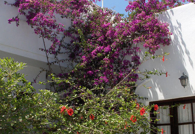 Marianna Hotel Mykonos Town Exterior foto